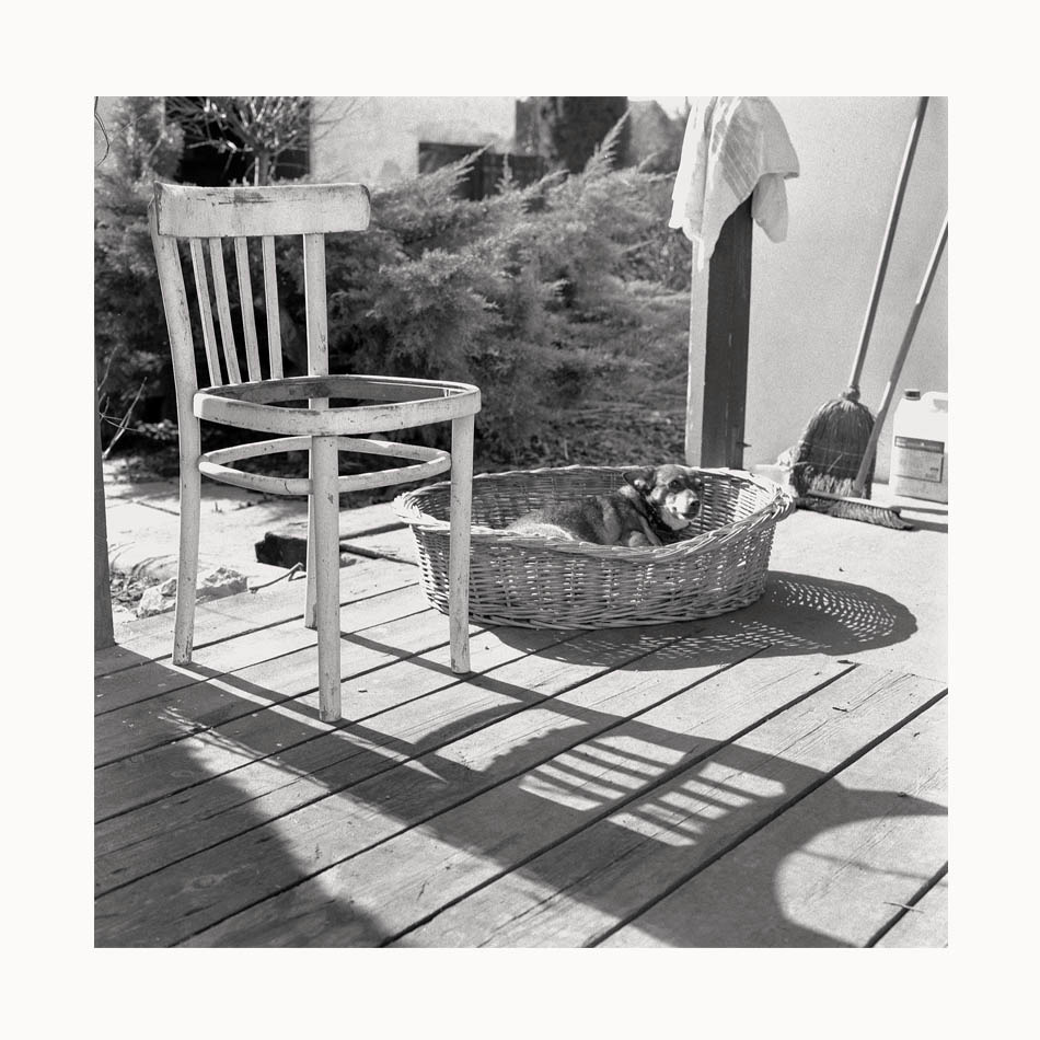 Niedzielny poranek...