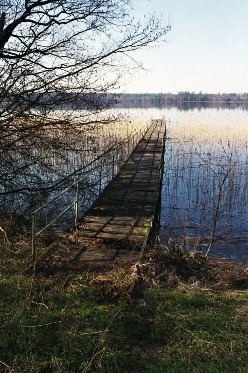 Zapomniana kładka