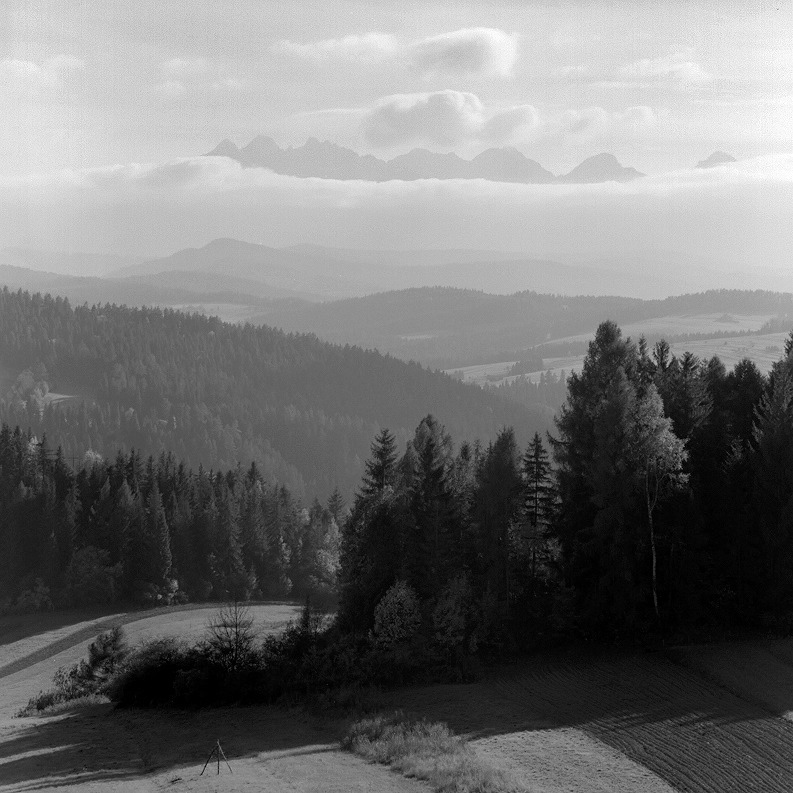 landszafcik