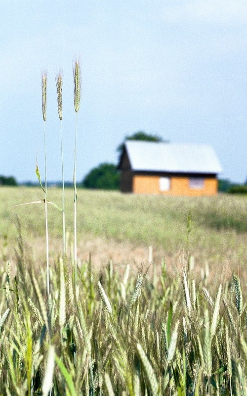 ul. Kłoskowa 3