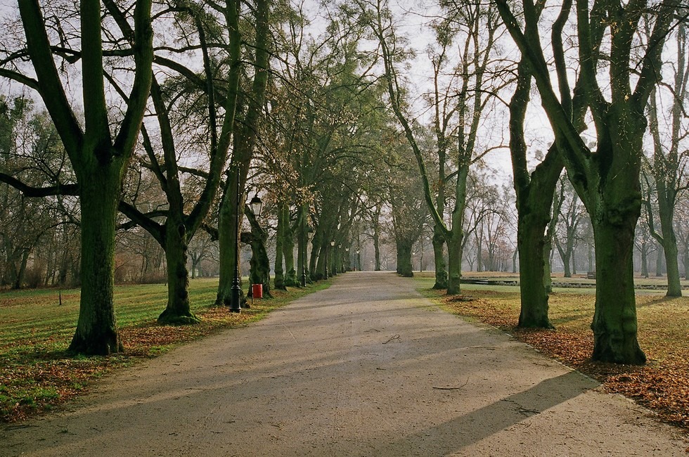 Coraz bliżej jesieni...