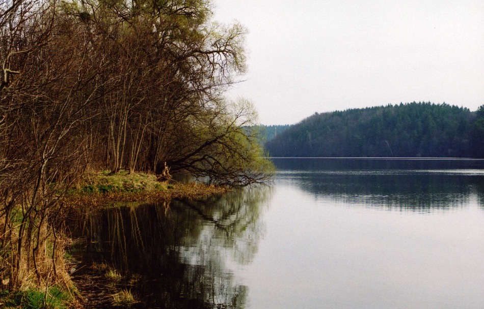 pejzażyk