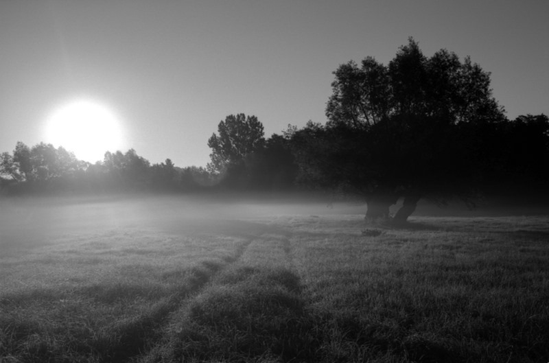 7am