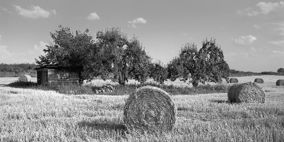 Klasyka fotograficzna :)