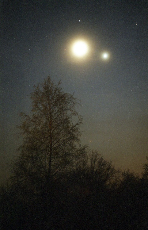 Księżyc w towarzystwie