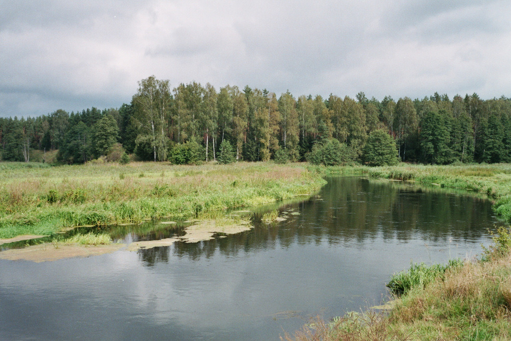 Zakole Łyny
