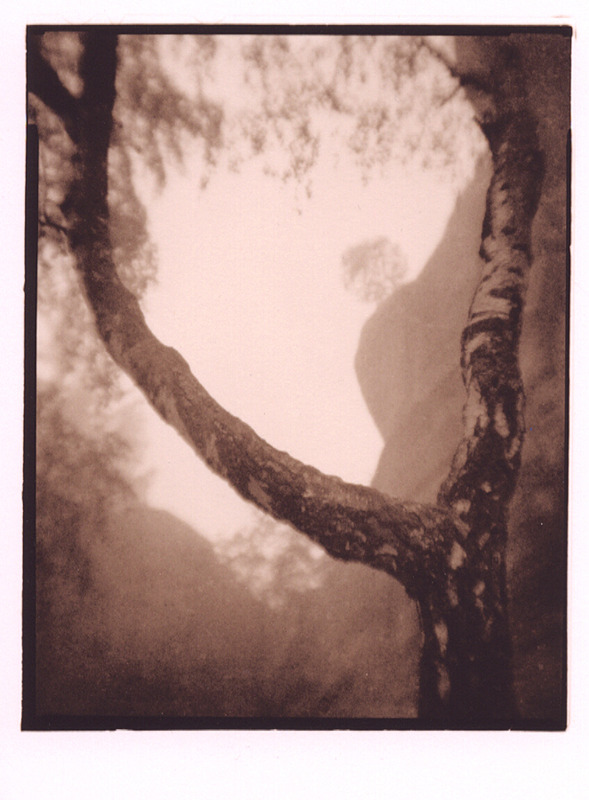 nima