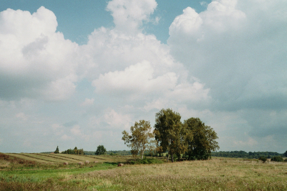Warmia c.d.