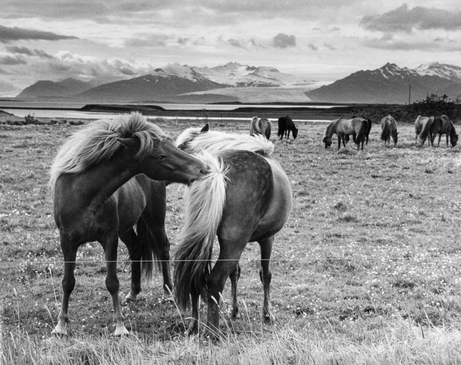 A pocaluj ty mnie w zyc!