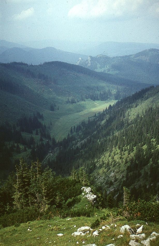 Góry (gdzieś, rok xxxx)