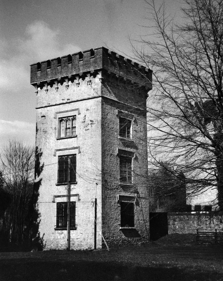Donadea Forest Park in Kildare.