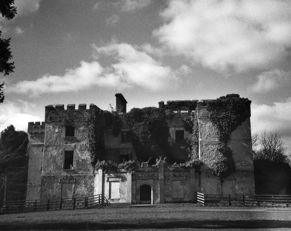 Donadea Forest Park in Kildare_02.