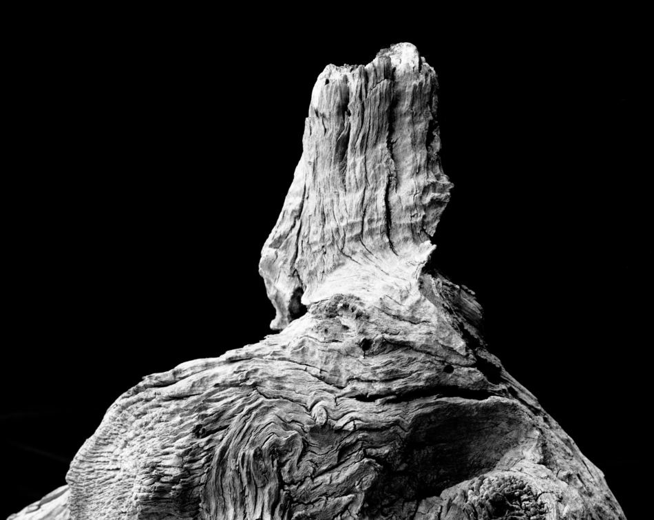 Bliskie spotkania trzeciego stopnia