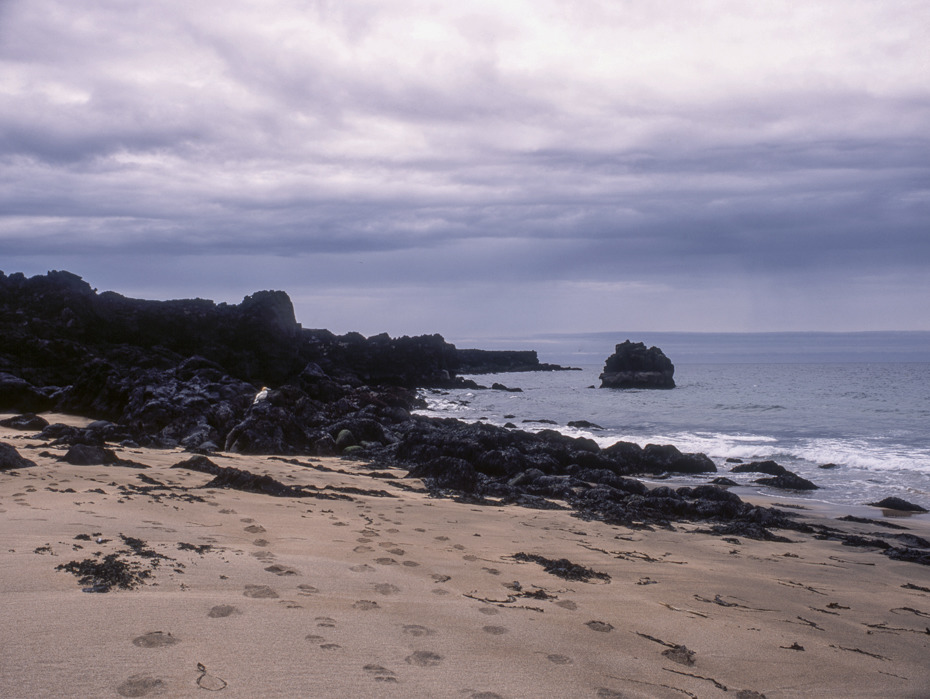 Iceland, Golden Beach Skar?svík