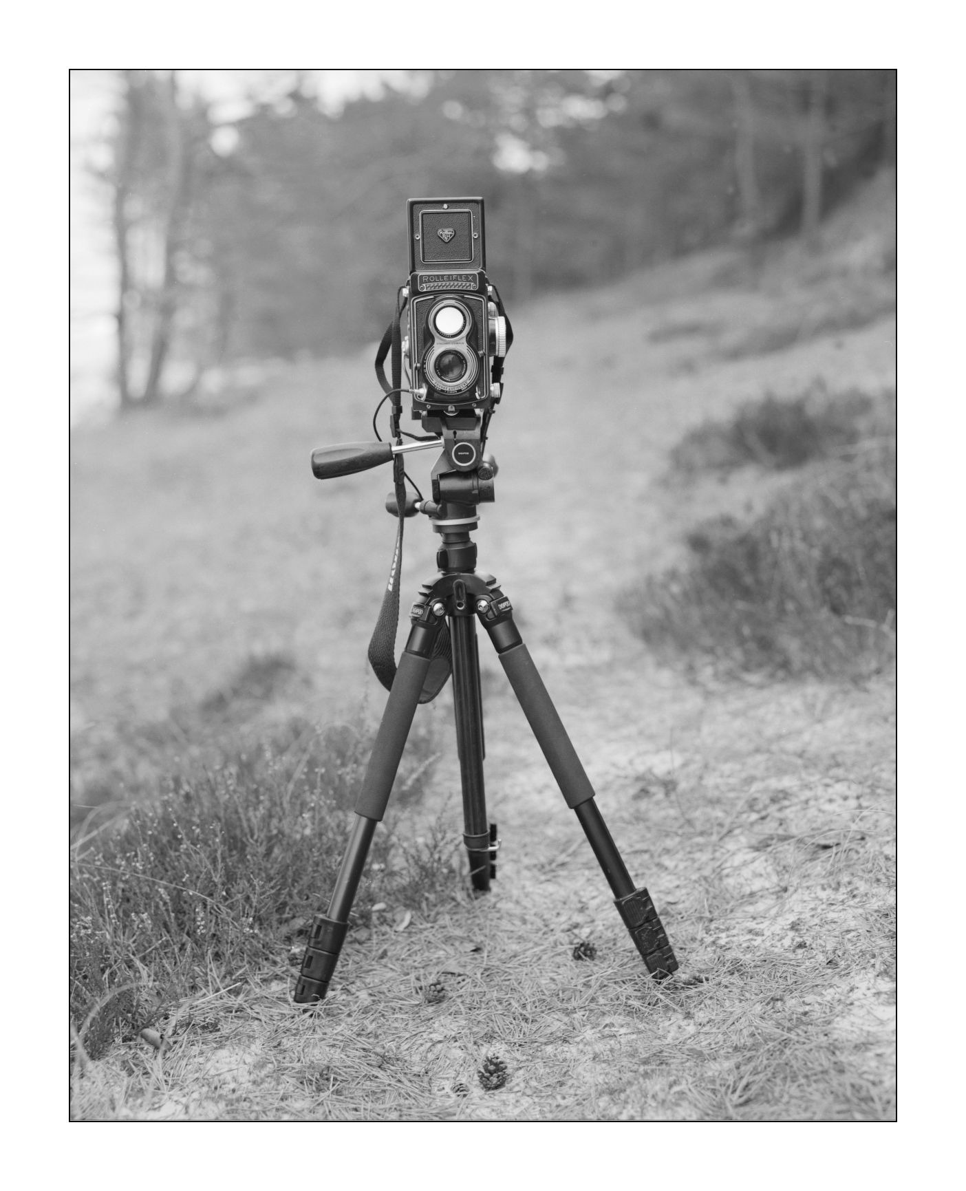 rolleiflex