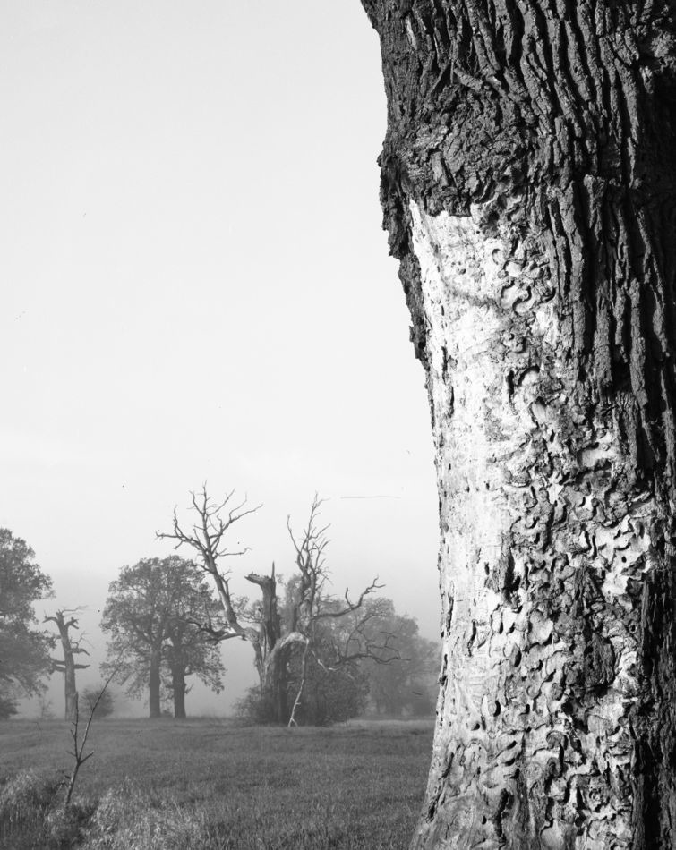 Tak to wygladało na matówce..