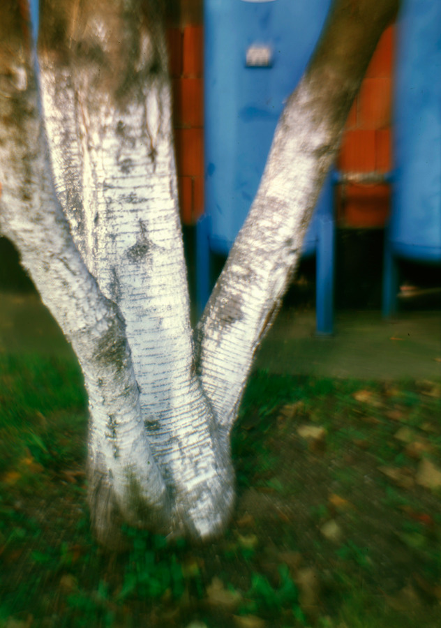 Natura i industry
