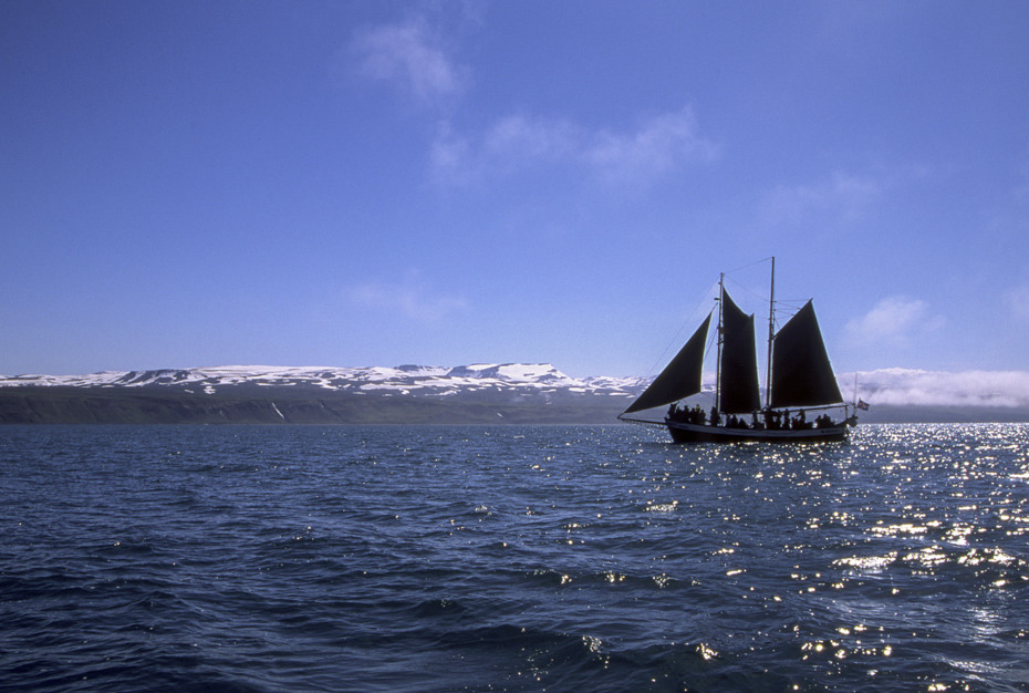 ICELAND_Na ochlode....