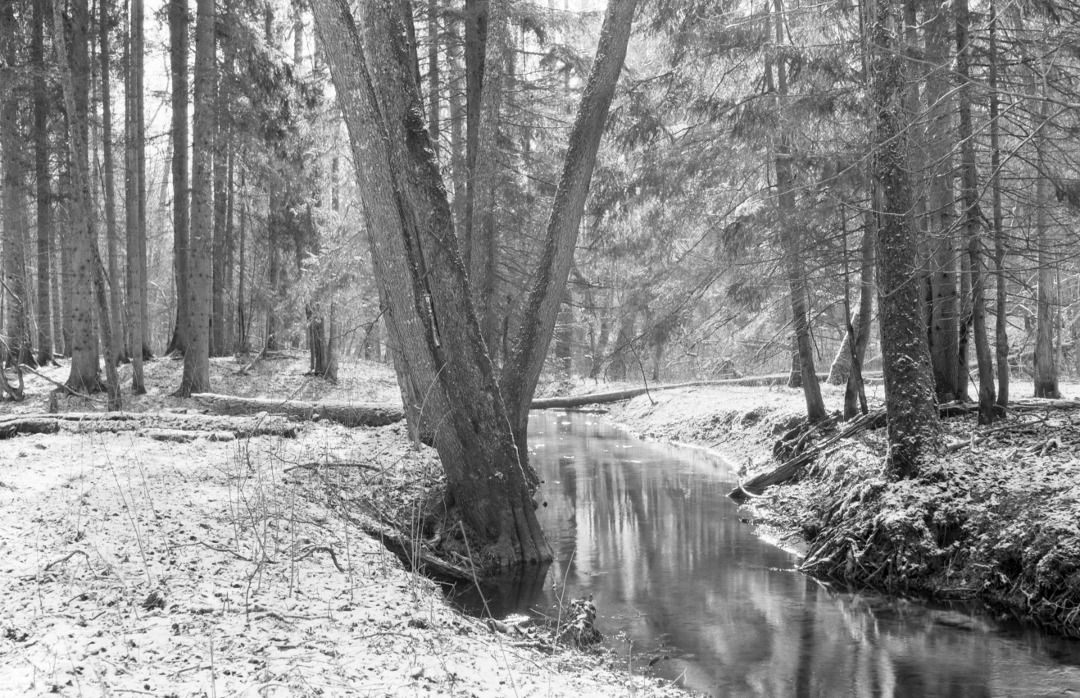 Puszcza Borecka