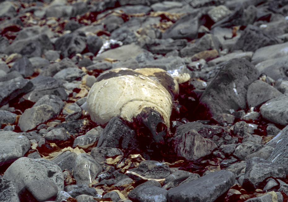 Iceland, North_stara smierc