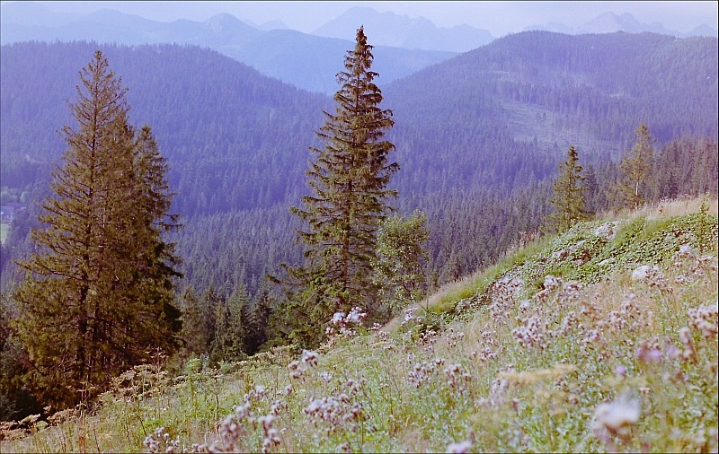 Tattry - widok z Cyhrli