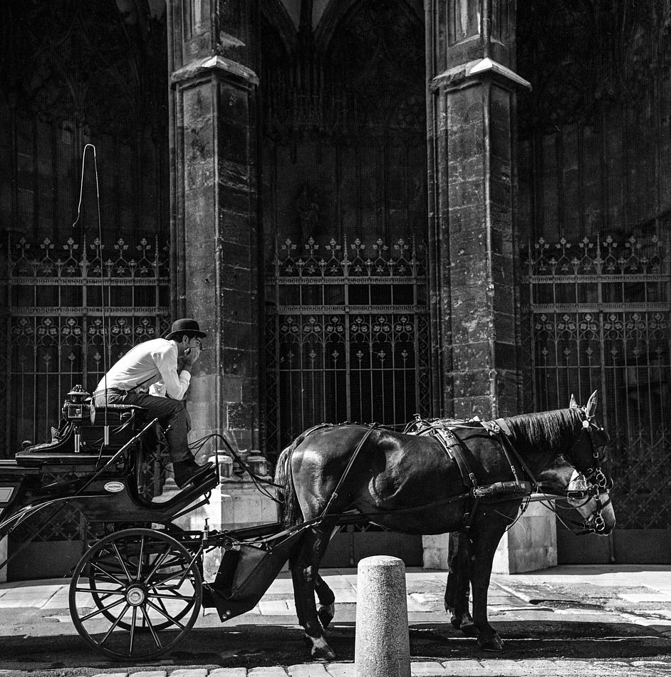 Jeszcze jedeń Wiedeń