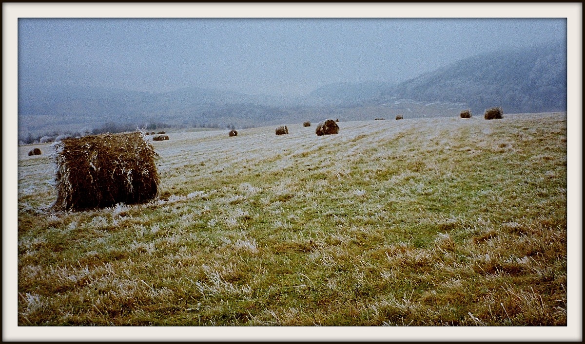 widok wiosenny