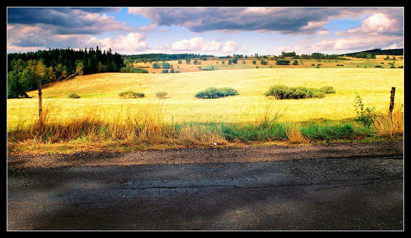 widok kolorowy