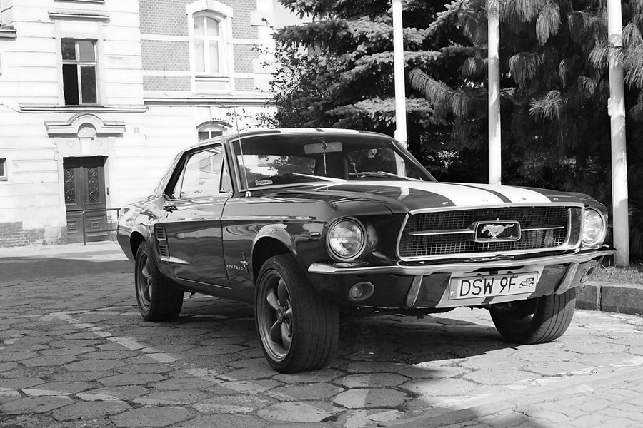 Mustang