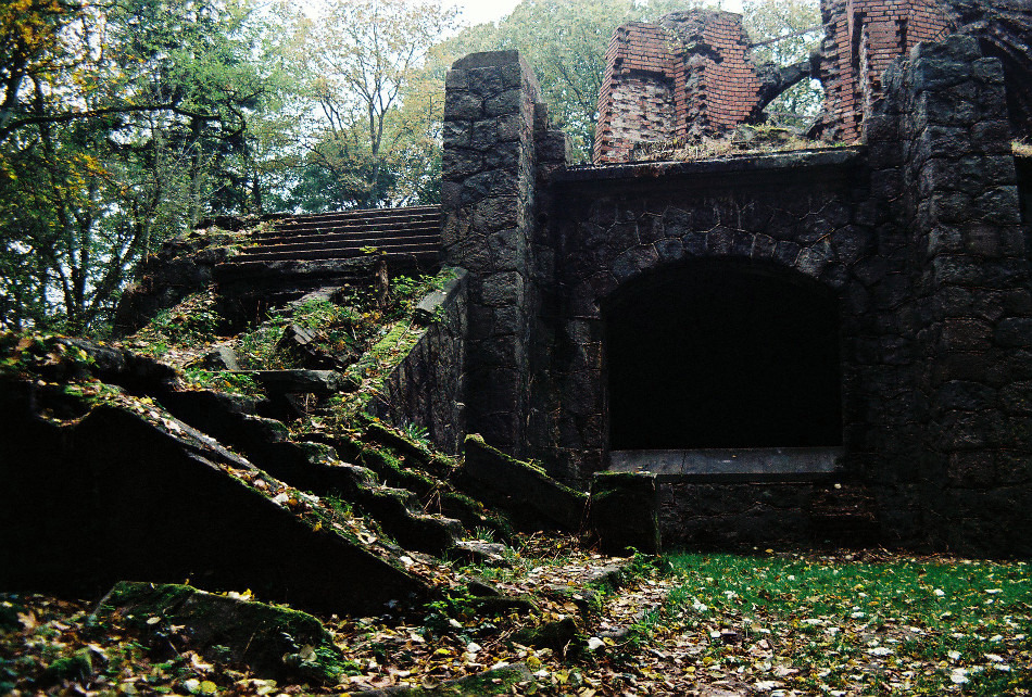 Wieża