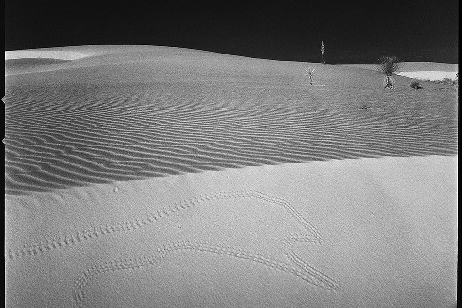 N.M. White Sands