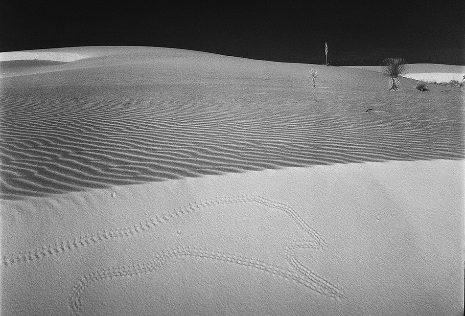 N.M. White Sands