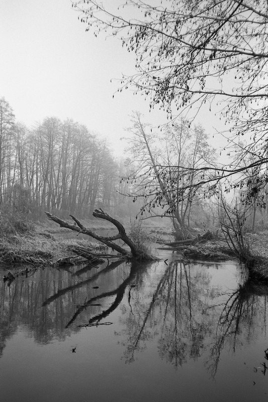 Jeziorka-listopad