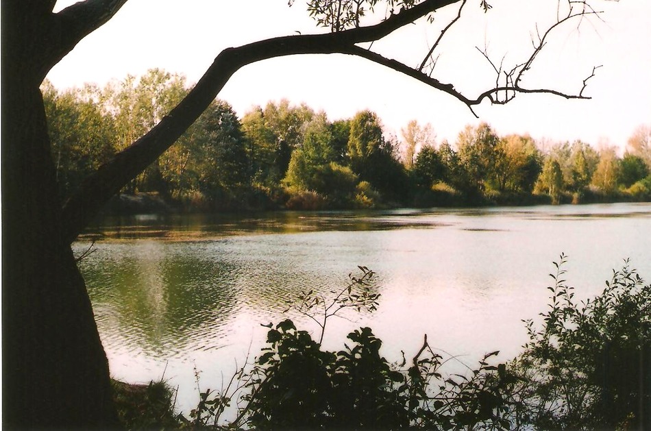 Szkoda lata
