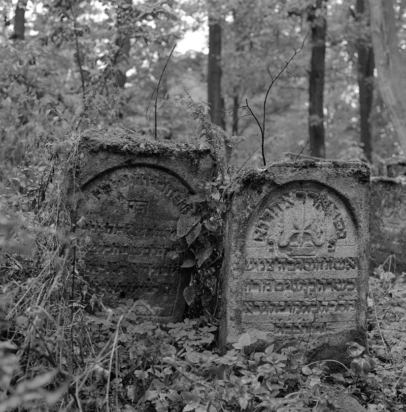 Memento mori