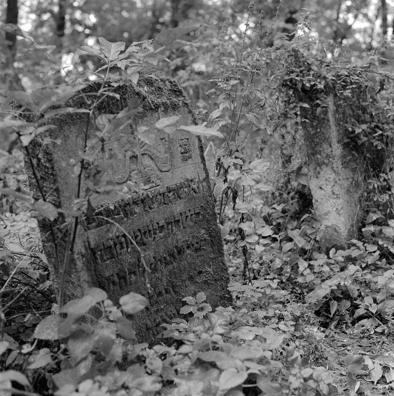 Kirkut w Szczebrzeszynie