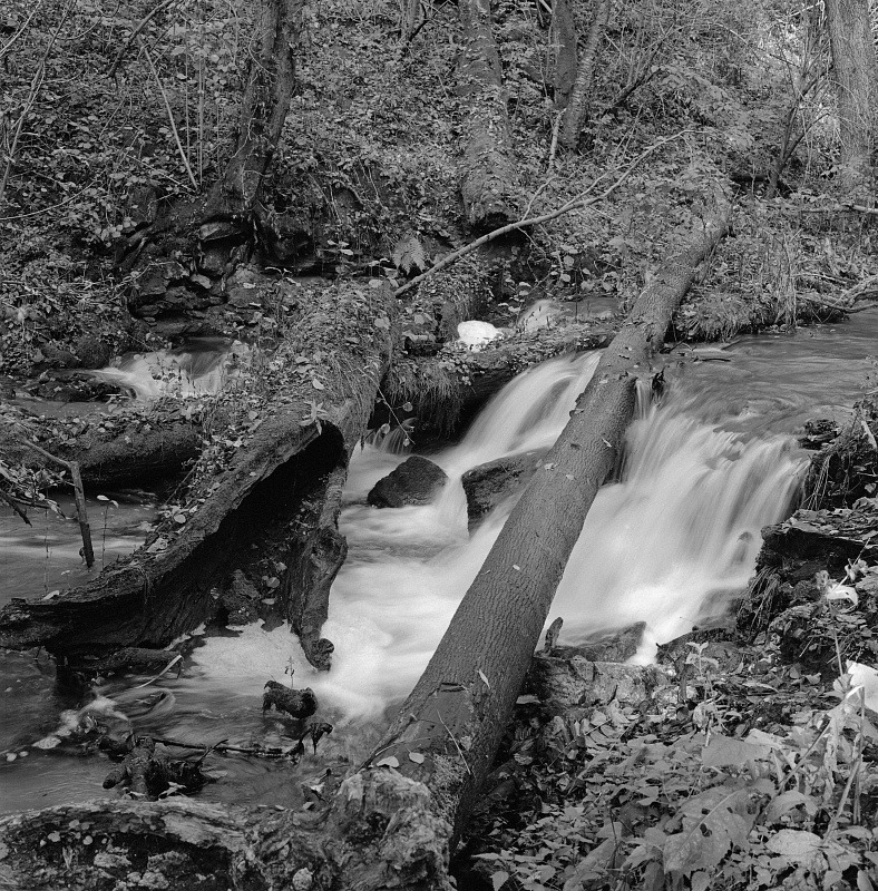 Roztocze (3)