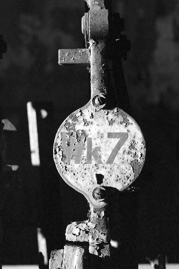 Wk7
