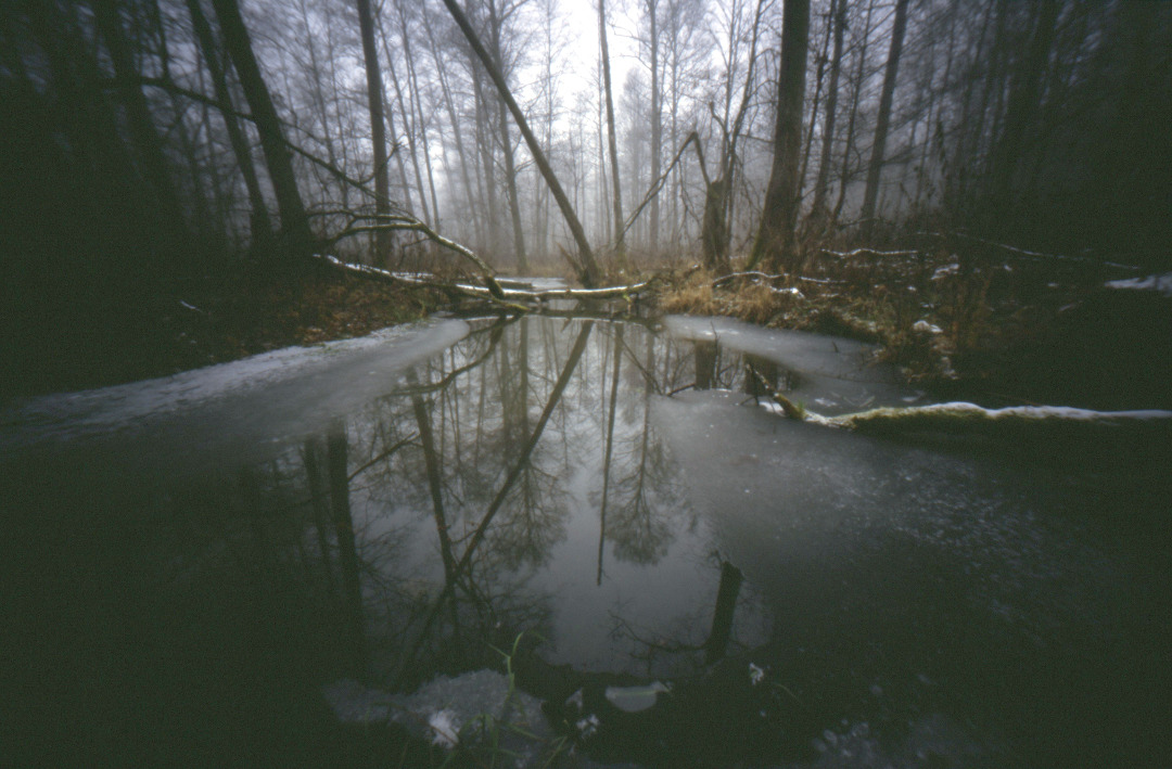 Puszcza Borecka