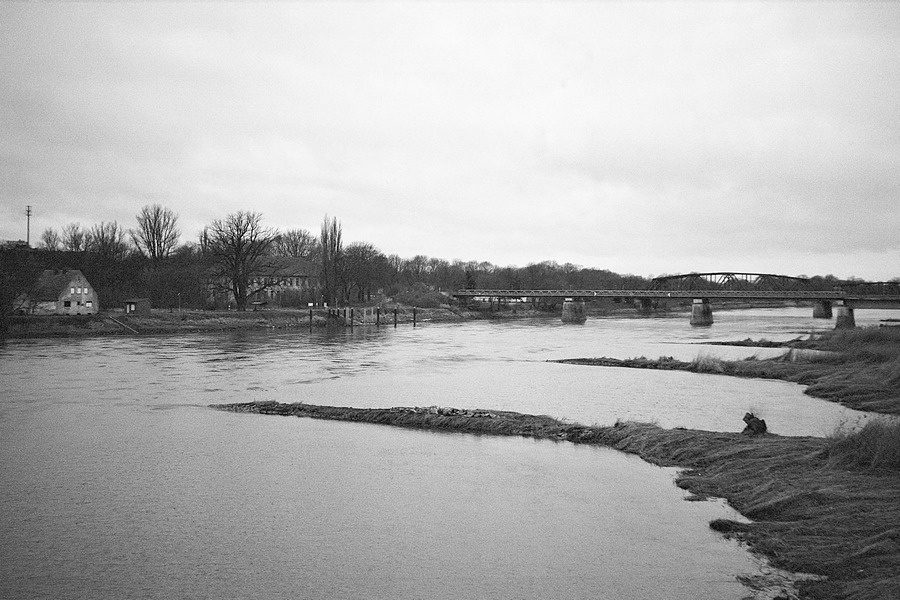 Odra