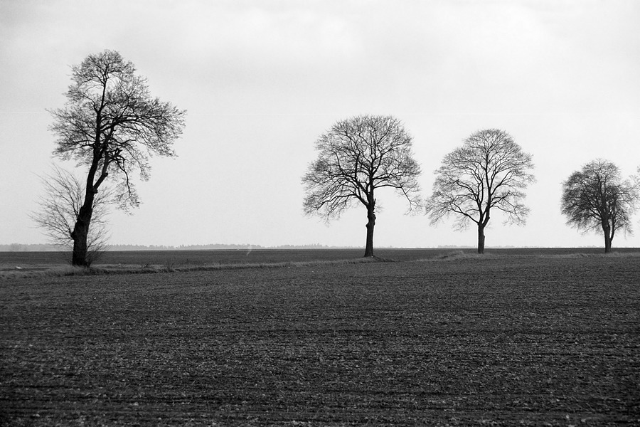 Przedwiośnie w Barniewicach
