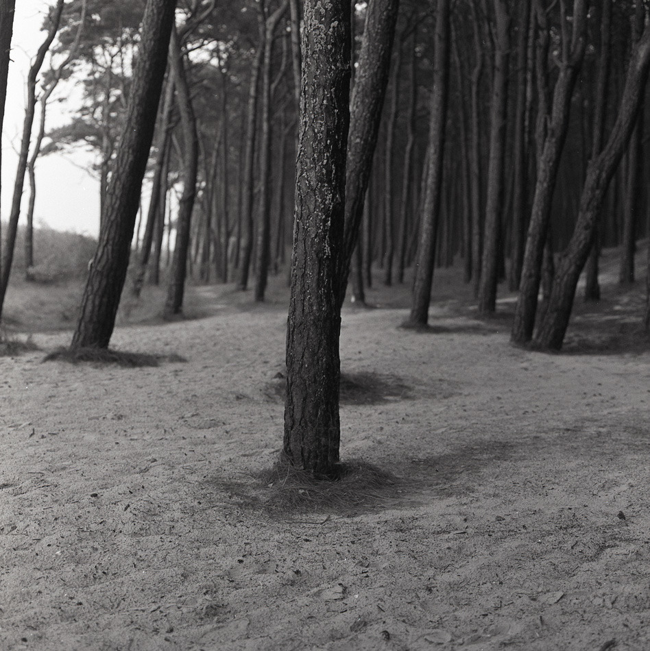 Mnie ta fotografia zatrzymuje na moment