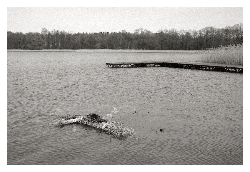 definitywny koniec zimy