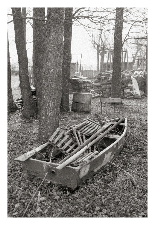 wiosenne przedporządki