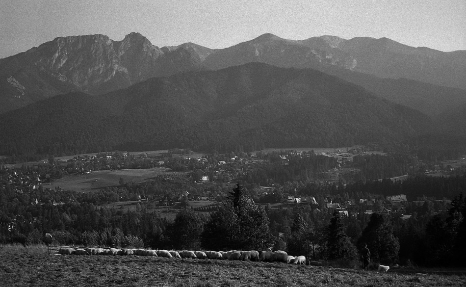 Zakopane