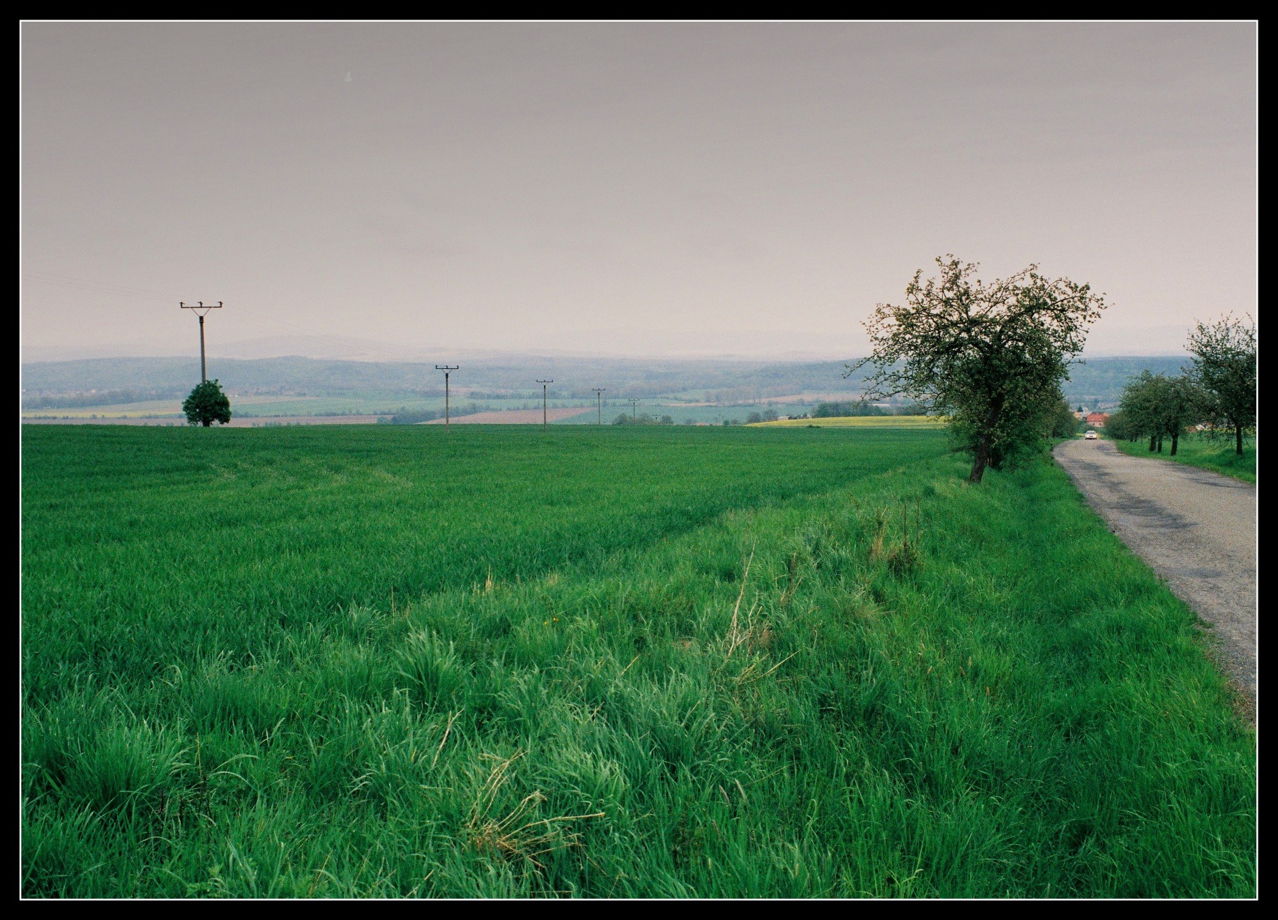 image0013