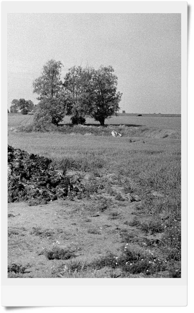 gnój po lewej