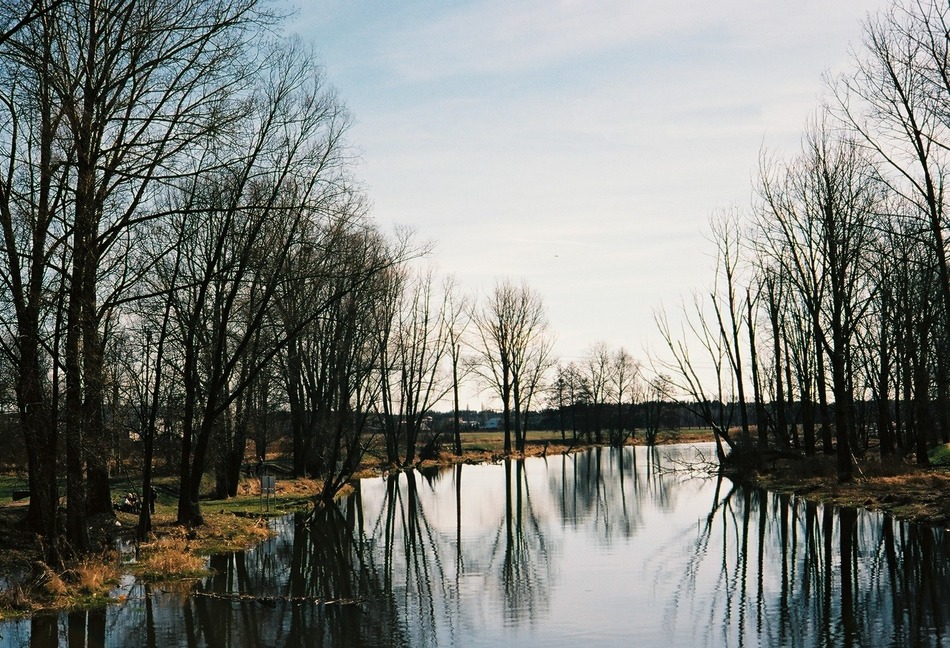 Liwiec / Węgrów