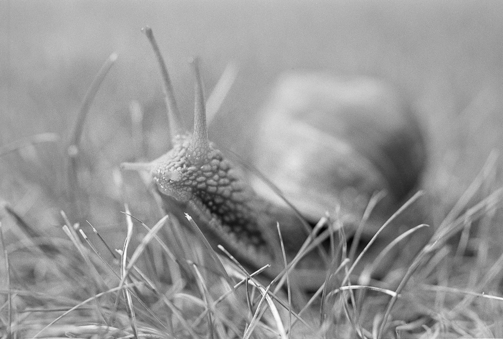 w mgle nieostrości...