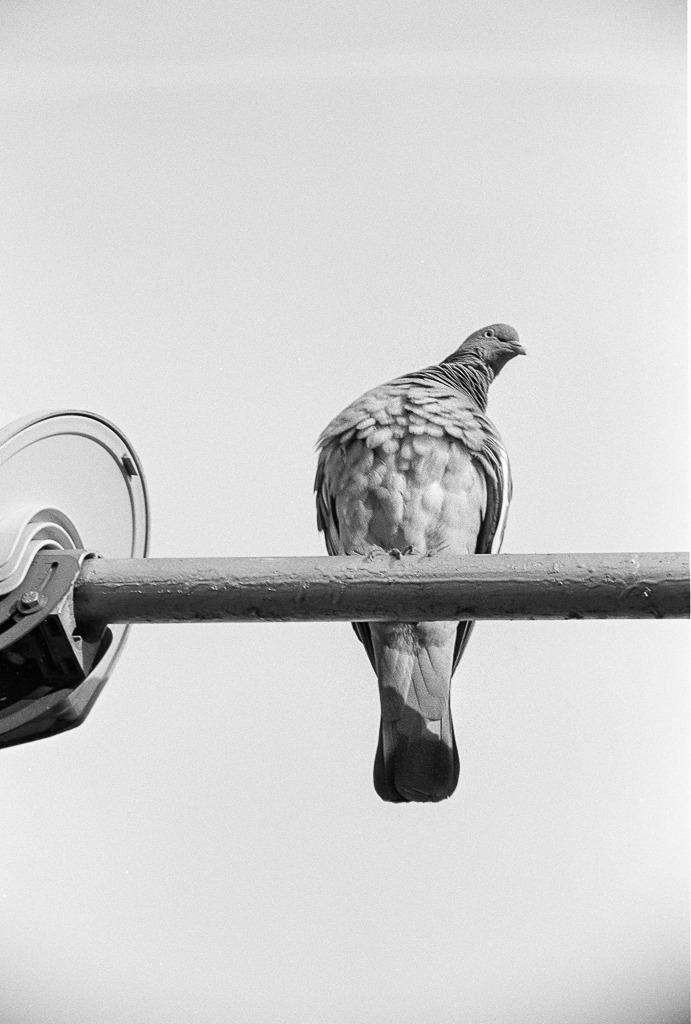 Nie stawaj pod latarnią